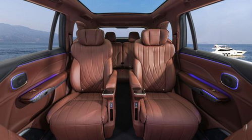 燃擎看車(chē)展 要給問(wèn)界m9和理想l9上強(qiáng)度,昊鉑hl實(shí)力夠不夠